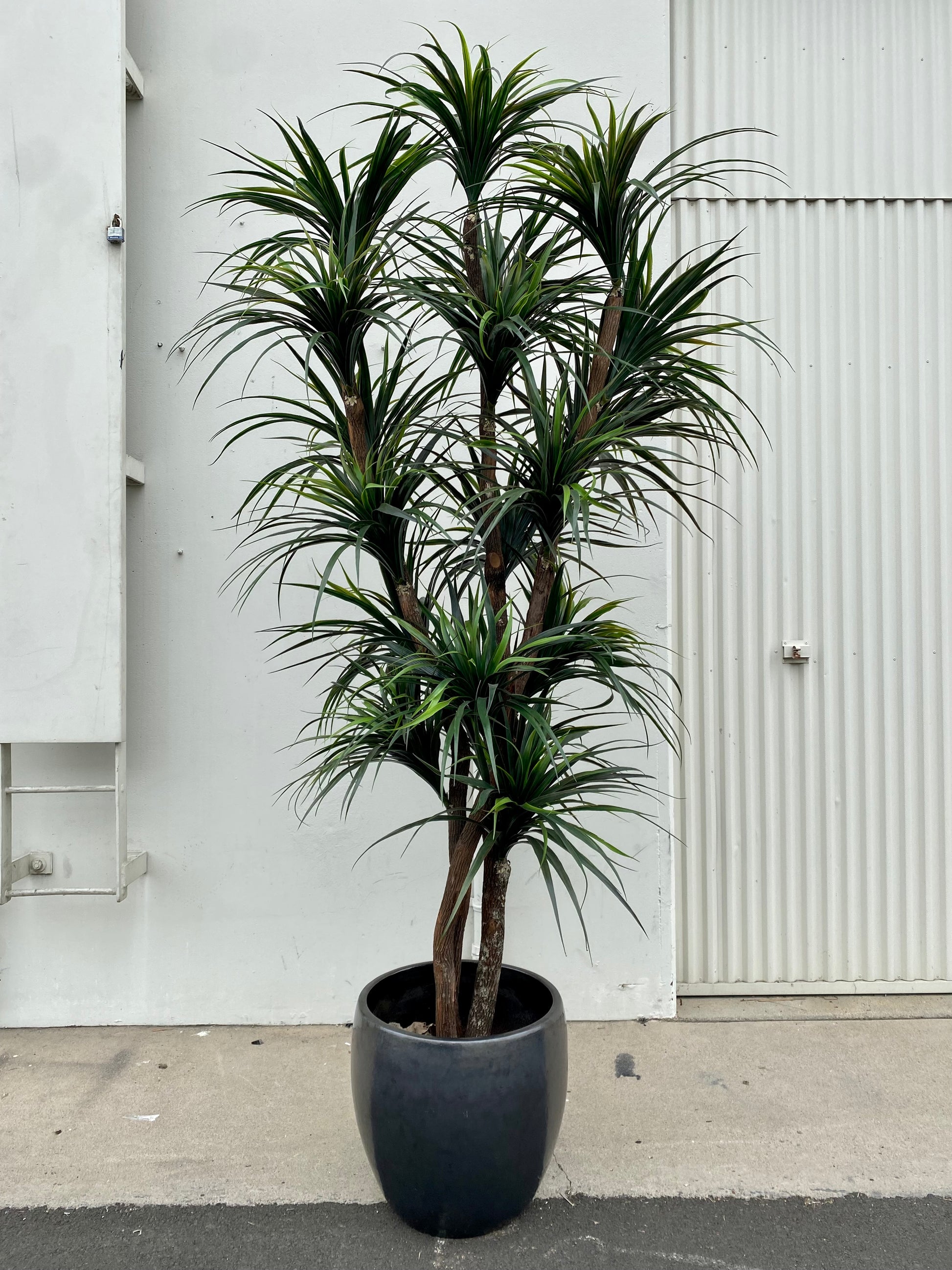 Tall 10-foot artificial yucca tree with multiple green spiky leaves on a central stem.
