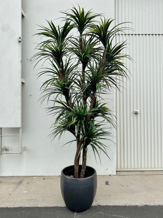 Tall 10-foot artificial yucca tree with multiple green spiky leaves on a central stem.