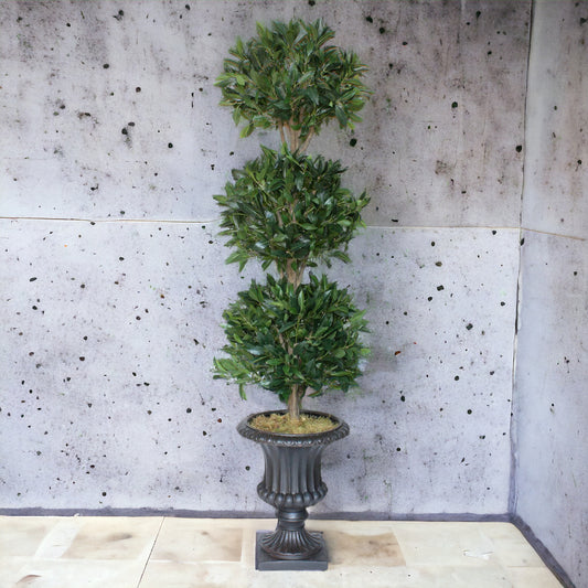 Classic 3-head bayleaf topiary with lush greenery on hardwood stems, placed in a dark urn. Suitable for indoor or well-covered exterior spaces with low sunlight.