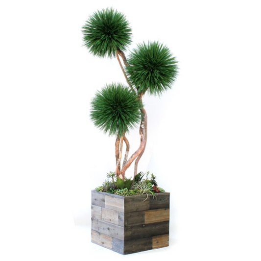 Our own signature design, inspired by the southwest desert. Natural materials that are dried and preserved create a unique and sustainable showpiece on cedar wood for home, office or commercial space. Hand built, solid wood planter with succulents.