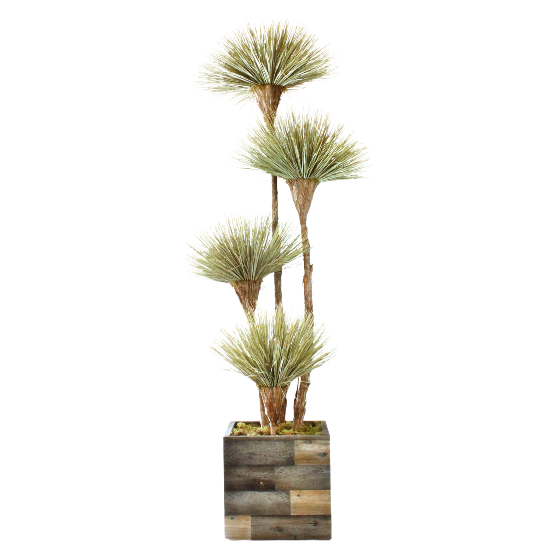 Exclusive desert southwest-inspired 4-bloom tree made from dried and preserved natural materials, in a custom-built wood container. A unique and sustainable showpiece for home, office, or commercial spaces. Wood container included.