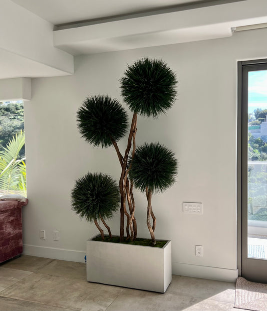 Exclusive desert southwest-inspired 4-pom showpiece tree made from dried and preserved natural materials, placed on cedar wood. A unique and sustainable design for home, office, or commercial space, in a rectangular planter.