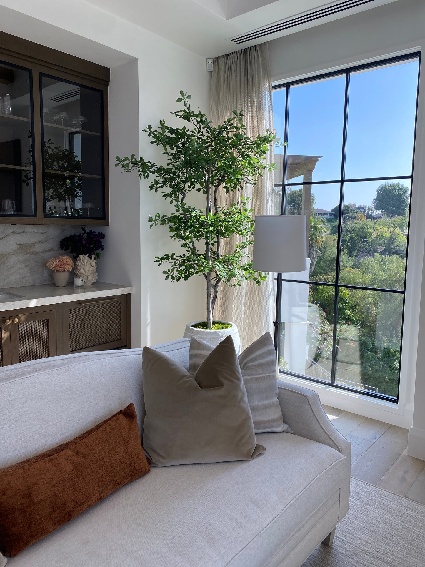 Photo of Black Olive Tree by Window