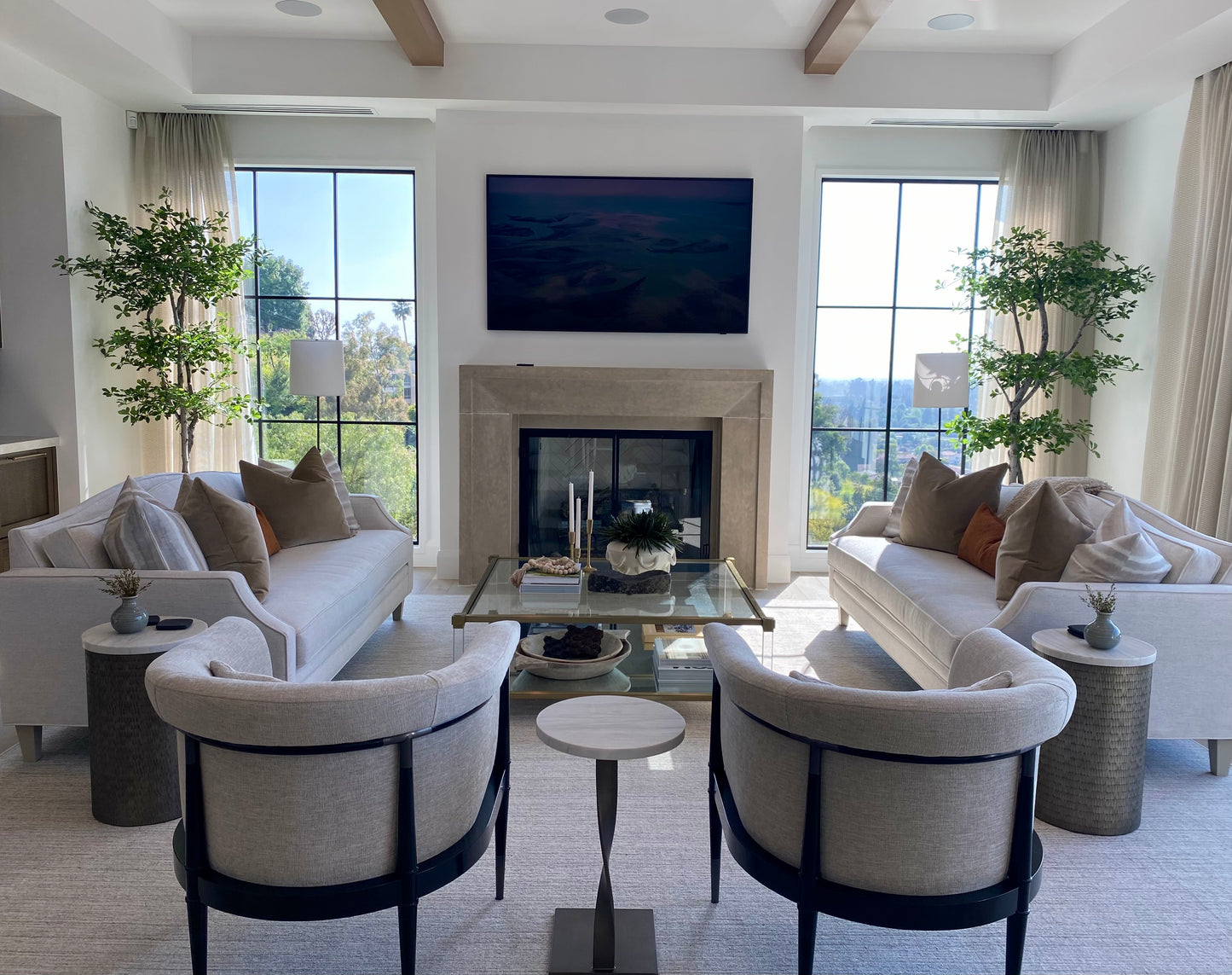 Photo of pair of black olive trees placed in living room