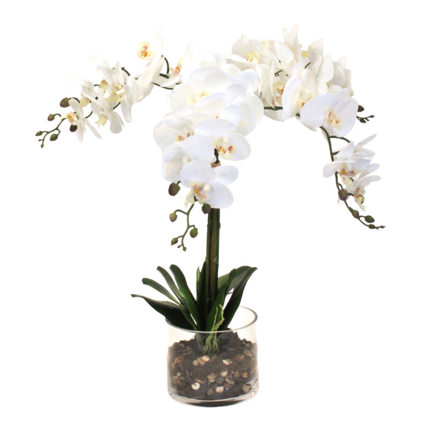 Real-touch delicate cascading orchids in a cylinder glass vase, with rocks and a water-like appearance. Recommended for indoor use.