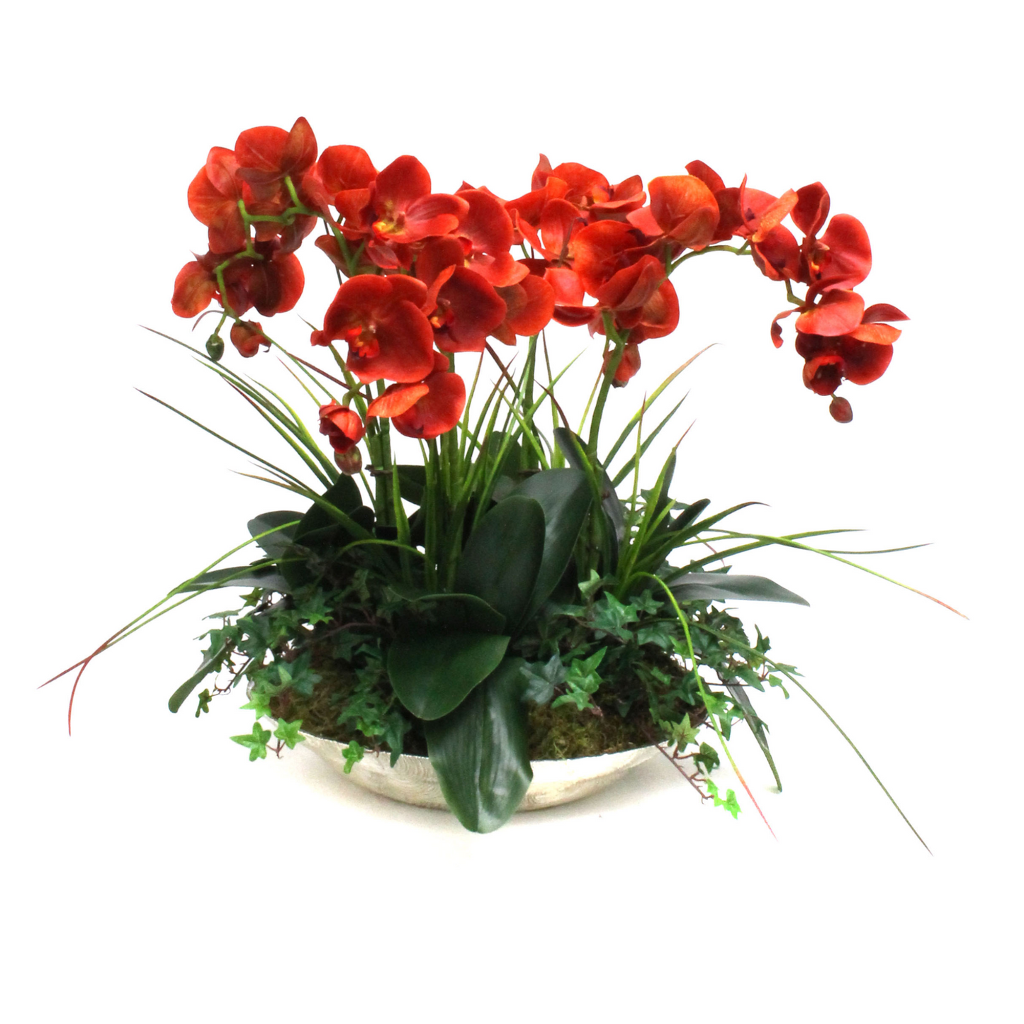 High-quality, real-touch delicate orchids in a decorative bowl, standing 24 inches tall for an impressive display