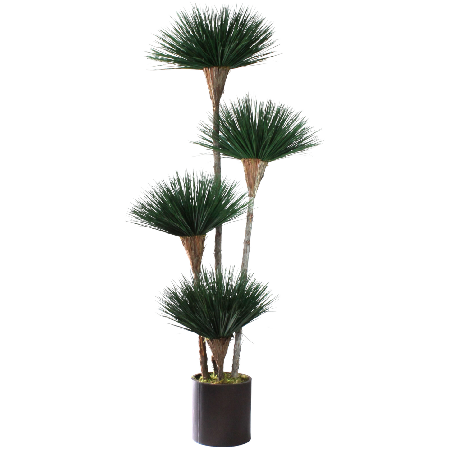 DRACAENA, NATURAL DARK GREEN, SUSTAINABLE MATERIALS