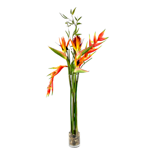 FLOWERING BIRD OF PARADISE IN GLASS VASE
