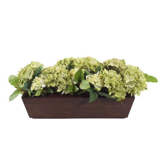 GREEN HYDRAGENAS IN WOODEN CONTAINER