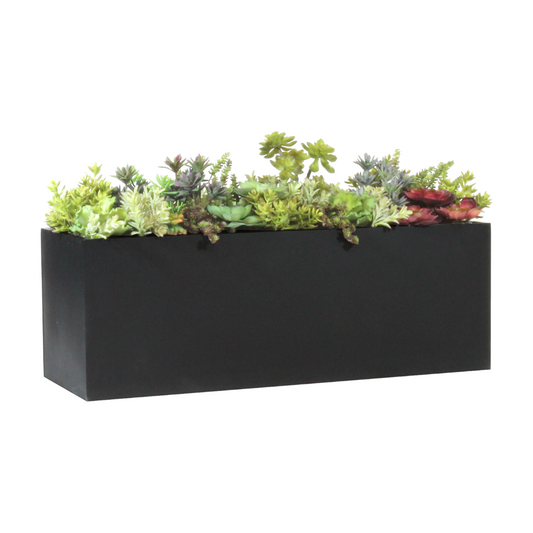 Photo of large succulents in metal box