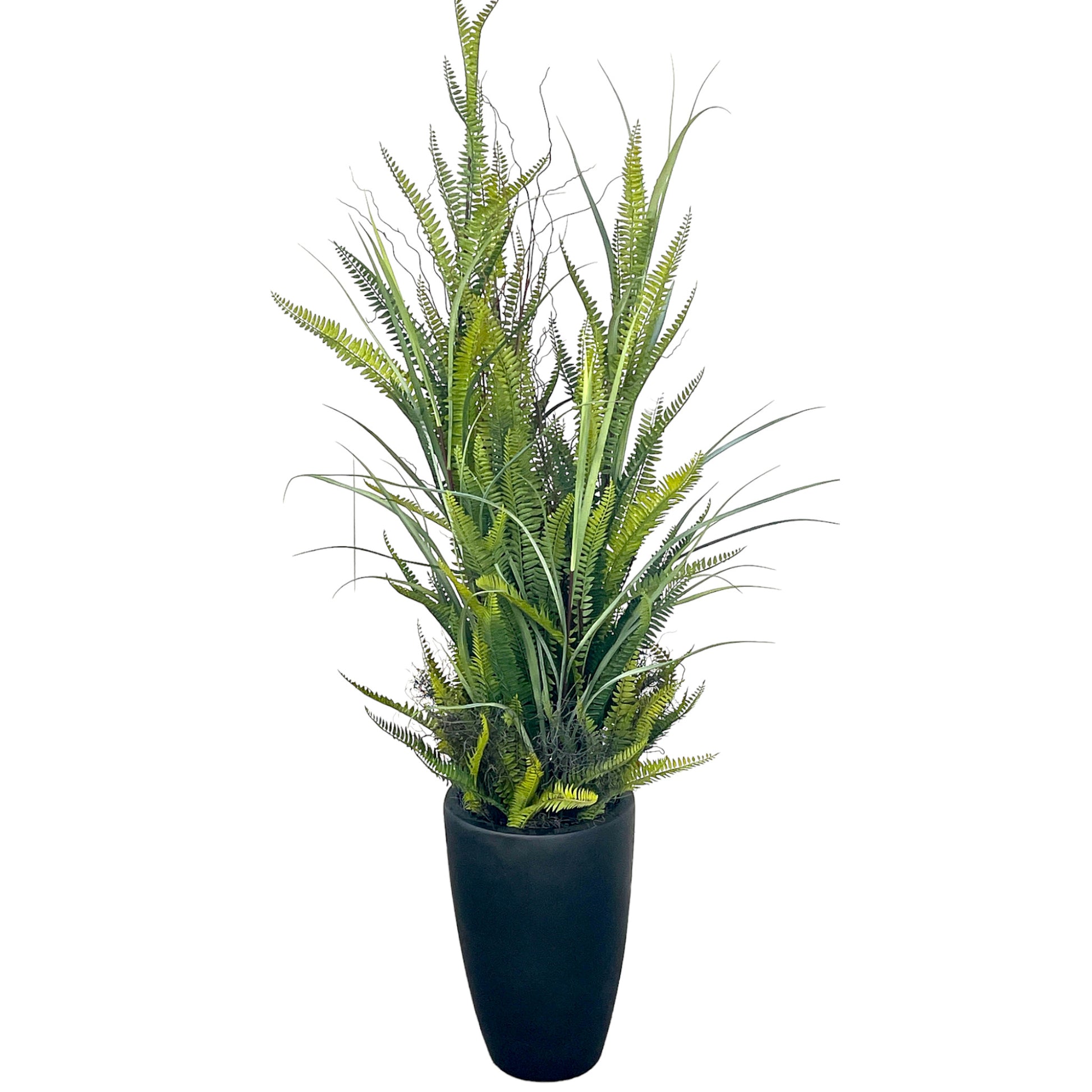Woodland- look ferns and greenery in heavy black cylinder container.