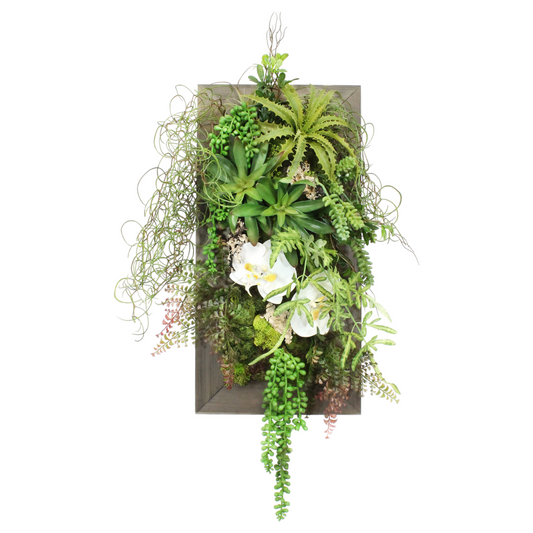 Mixed Greens on Hanging Wall Planter