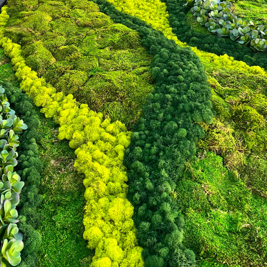 MOSS BOARD, DRIED AND PRESERVED MATERIALS CLOSE-UP SHOT