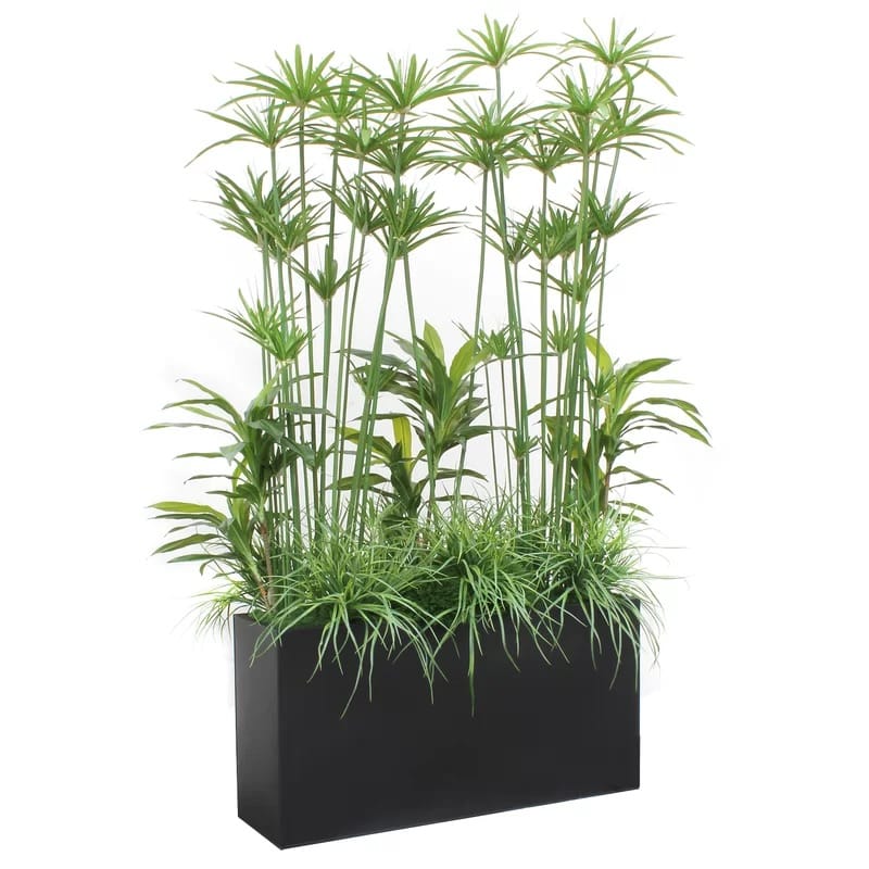 PAPYRUS AND GREENERY IN CLAY PLANTER