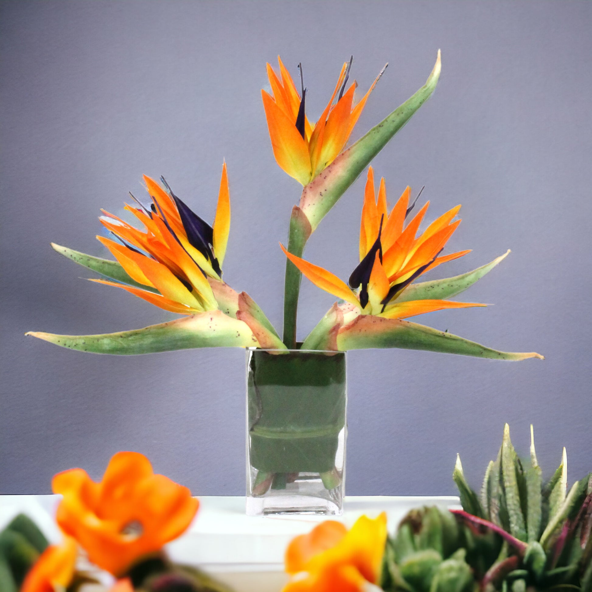 PETITE BIRD OF PARADISE WITH GREY BACKGROUND IN GLASS VASE