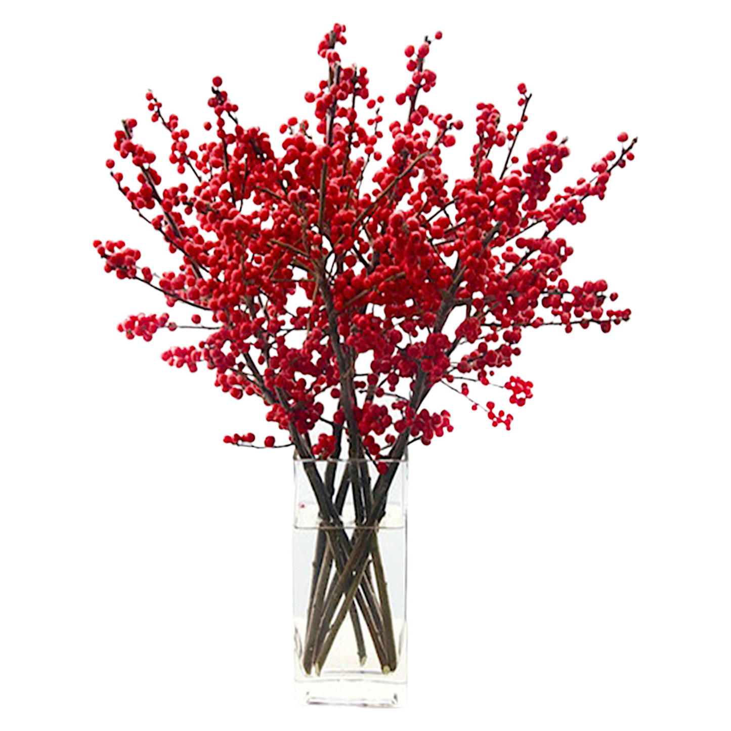 RED BERRIES IN WHITE VASE AGAINST WHITE BACKGROUND