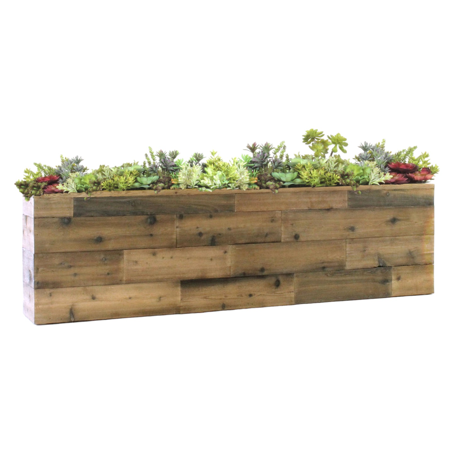 SUCCULENT MIX IN RECLAIMED WOOD in rectangular