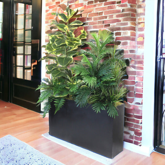 RUBBER PLANT AND GREENERY IN BLACK PLANTER