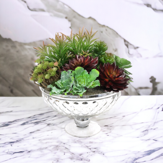 SUCCULENT MIX IN A PEDESTAL BOWL