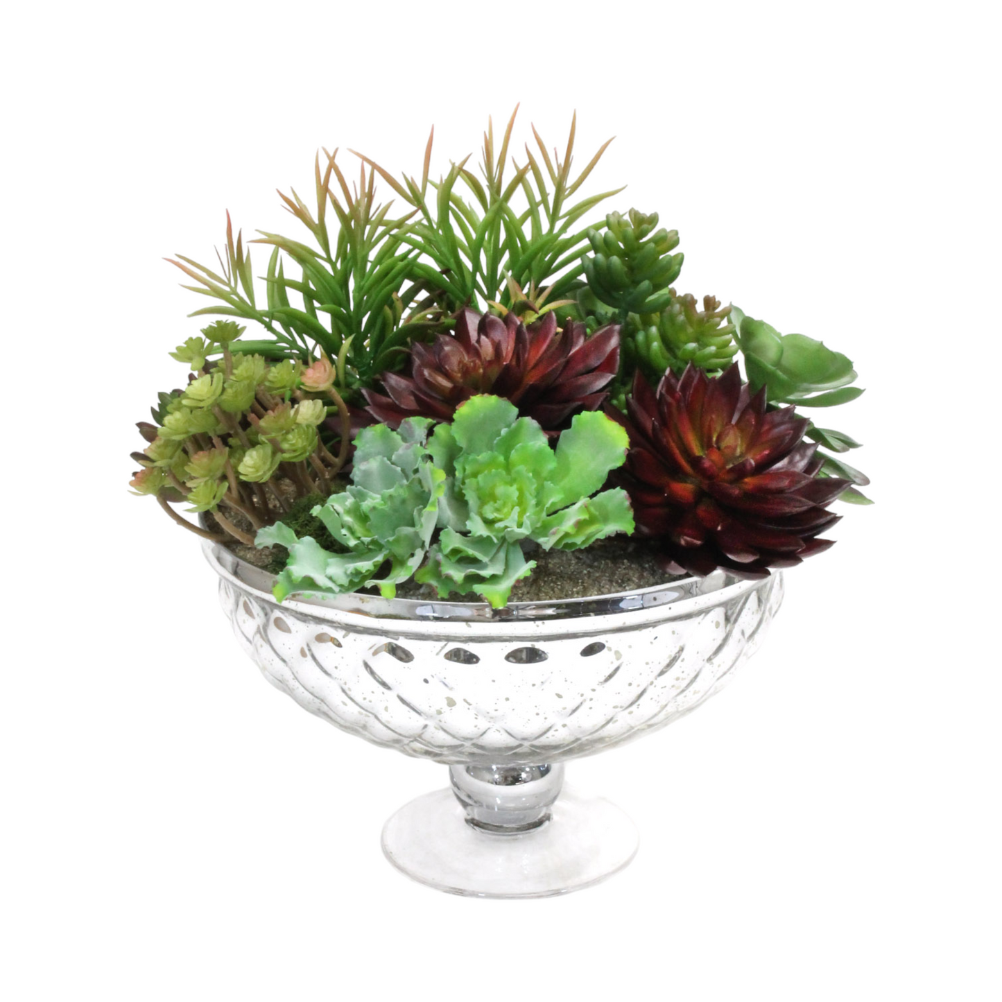 SUCCULENT MIX IN A PEDESTAL BOWL IN SILVER BOWL