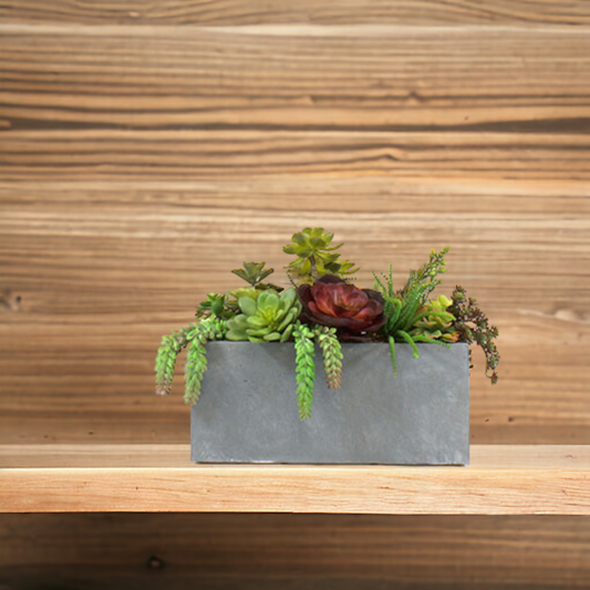 SUCCULENT MIX IN CLAYFIBRE POT