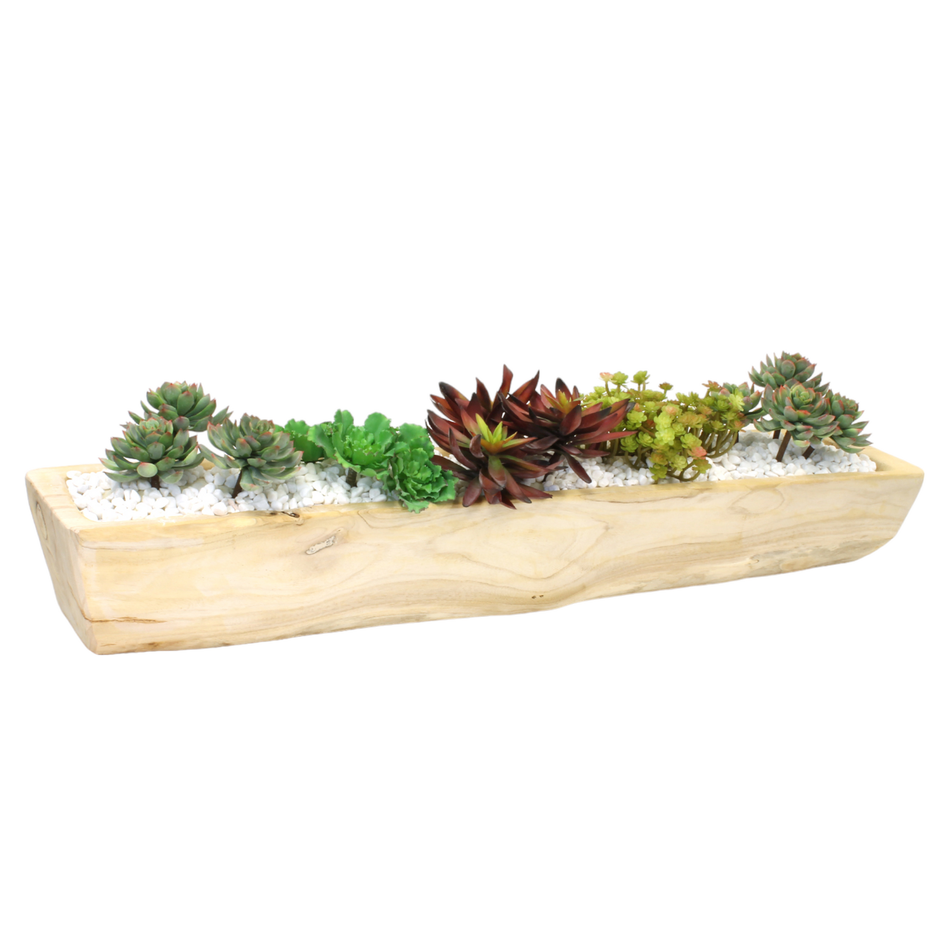 Variety of succulents in wooden box