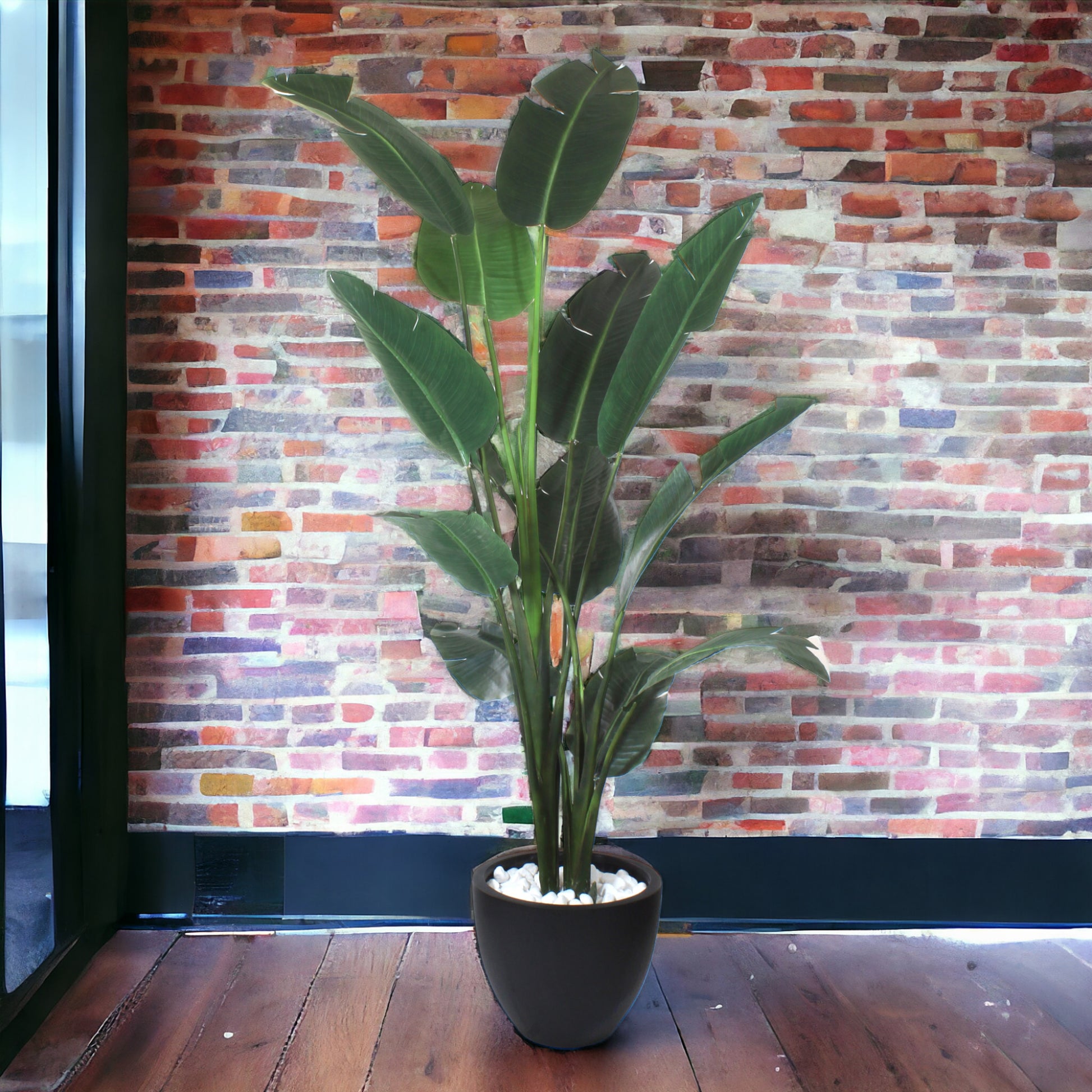 Traveller Palm against brick background