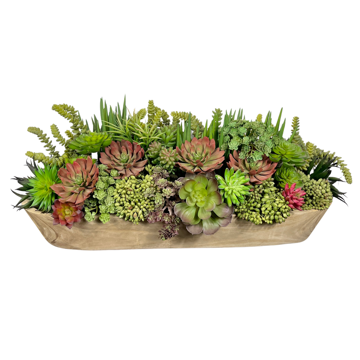 LARGE SUCCULENT ARRANGEMENT