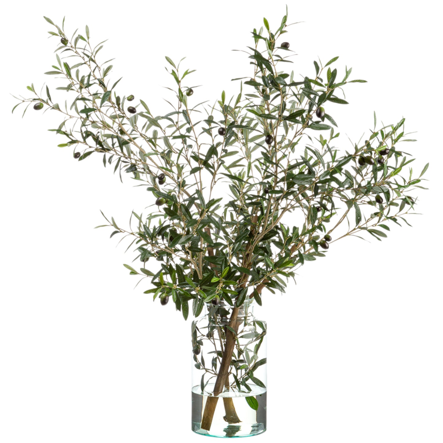 OLIVE BRANCHES IN GLASS VASE
