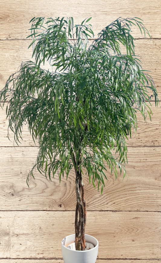 Realistic weeping willow tree with classic, drooping leaves that move freely, built on genuine wood.