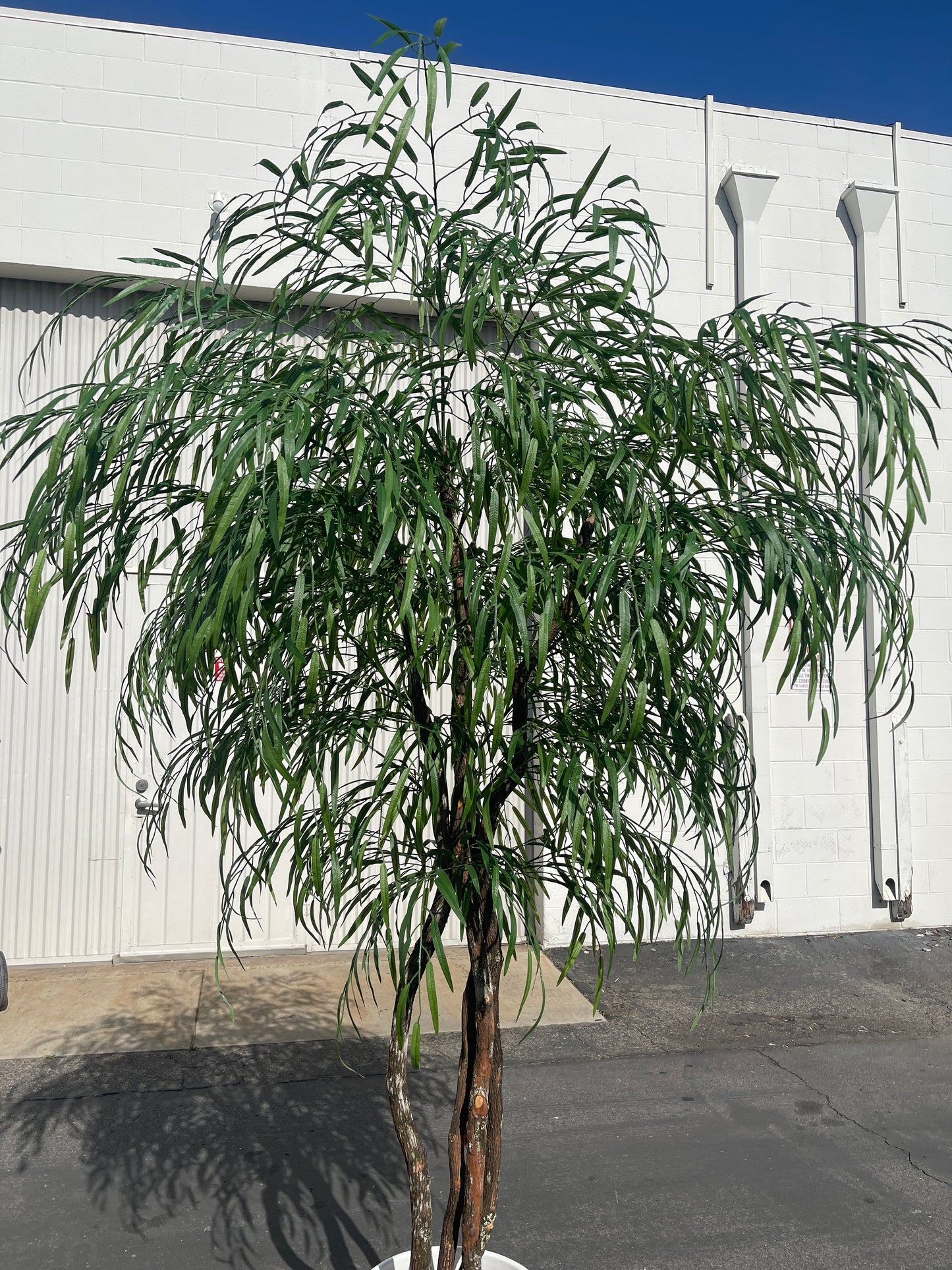 Realistic weeping willow tree with classic, drooping leaves that move freely, built on genuine wood.