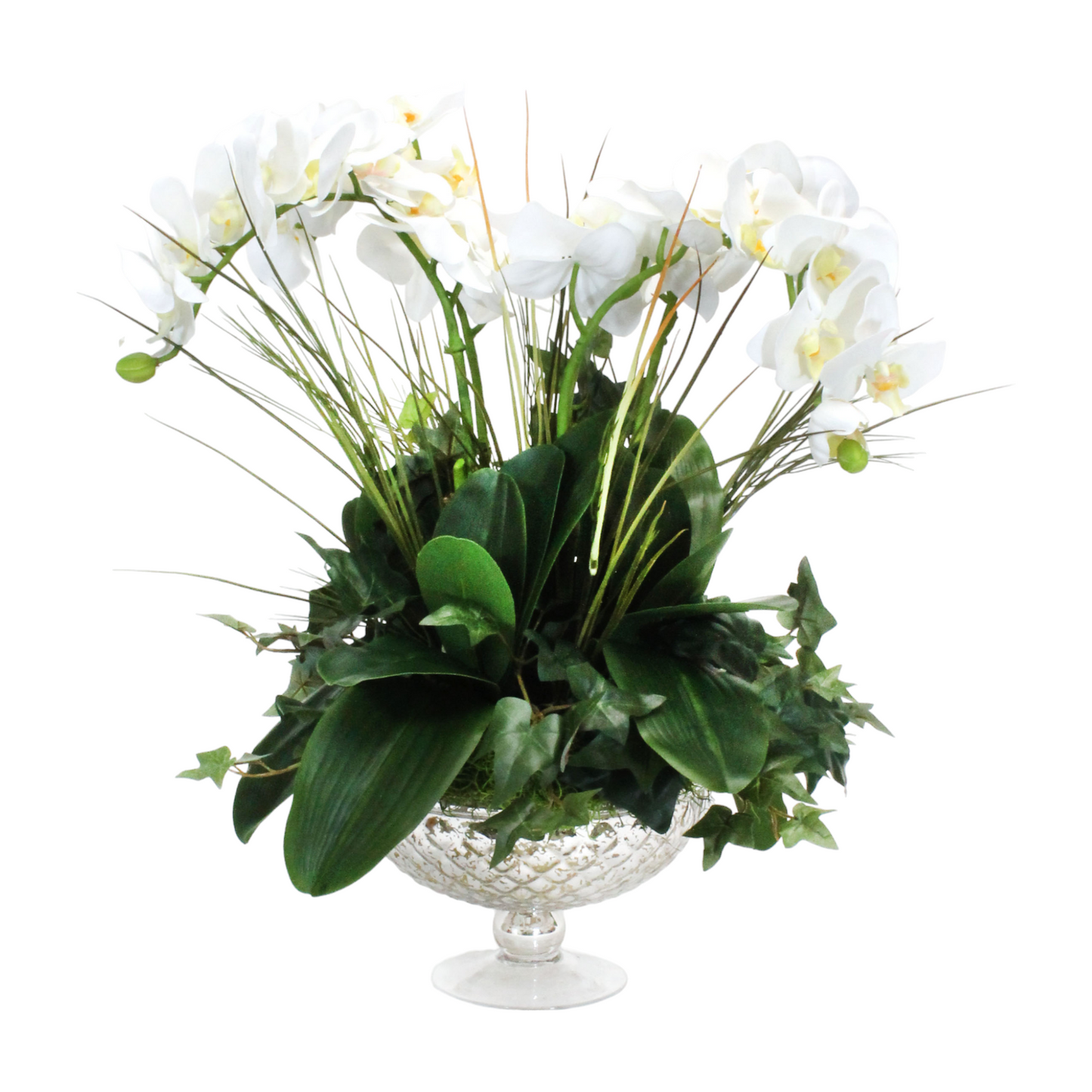 White Cascading Orchid in pedastal bowl