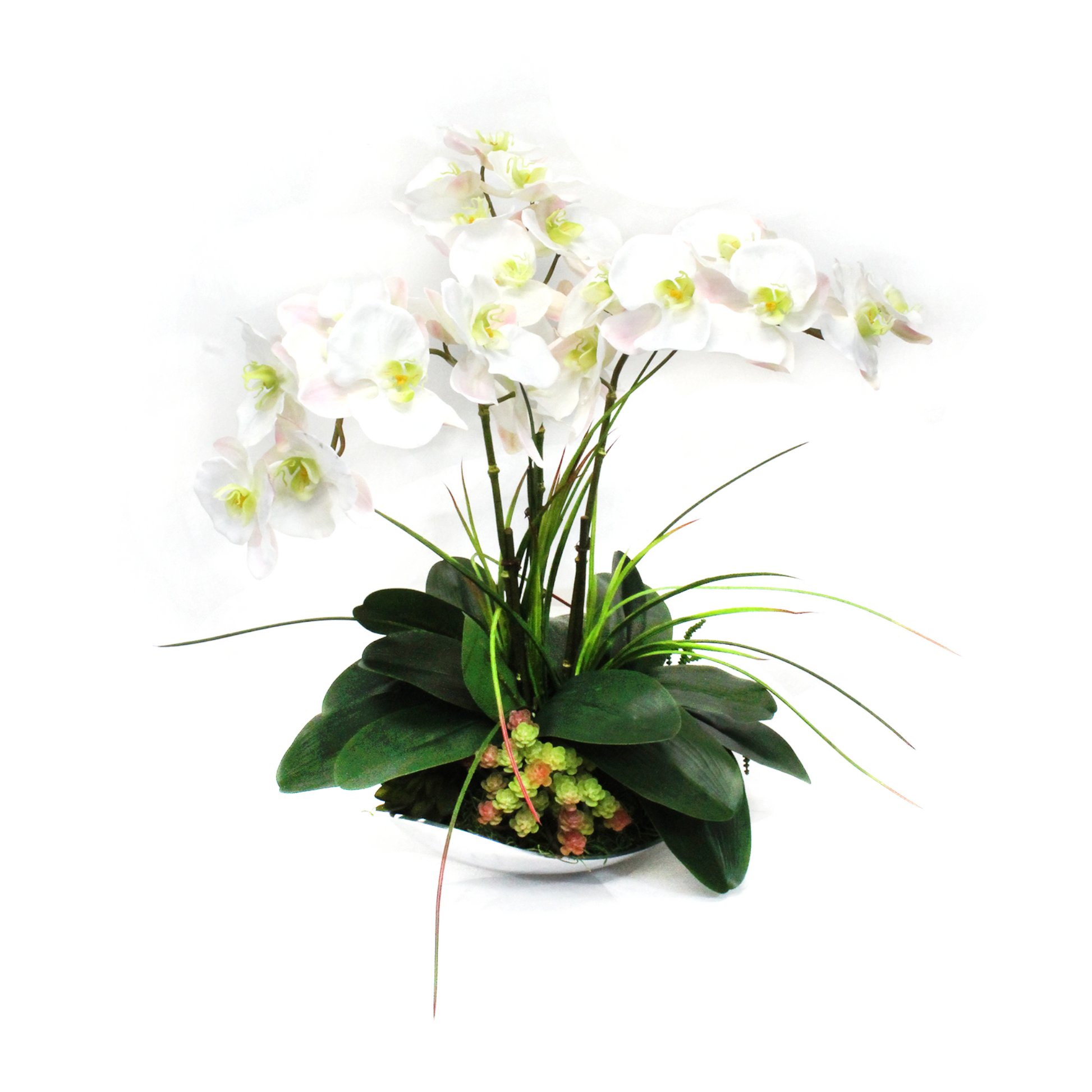 White cascading orchid with succulents in silver bowl