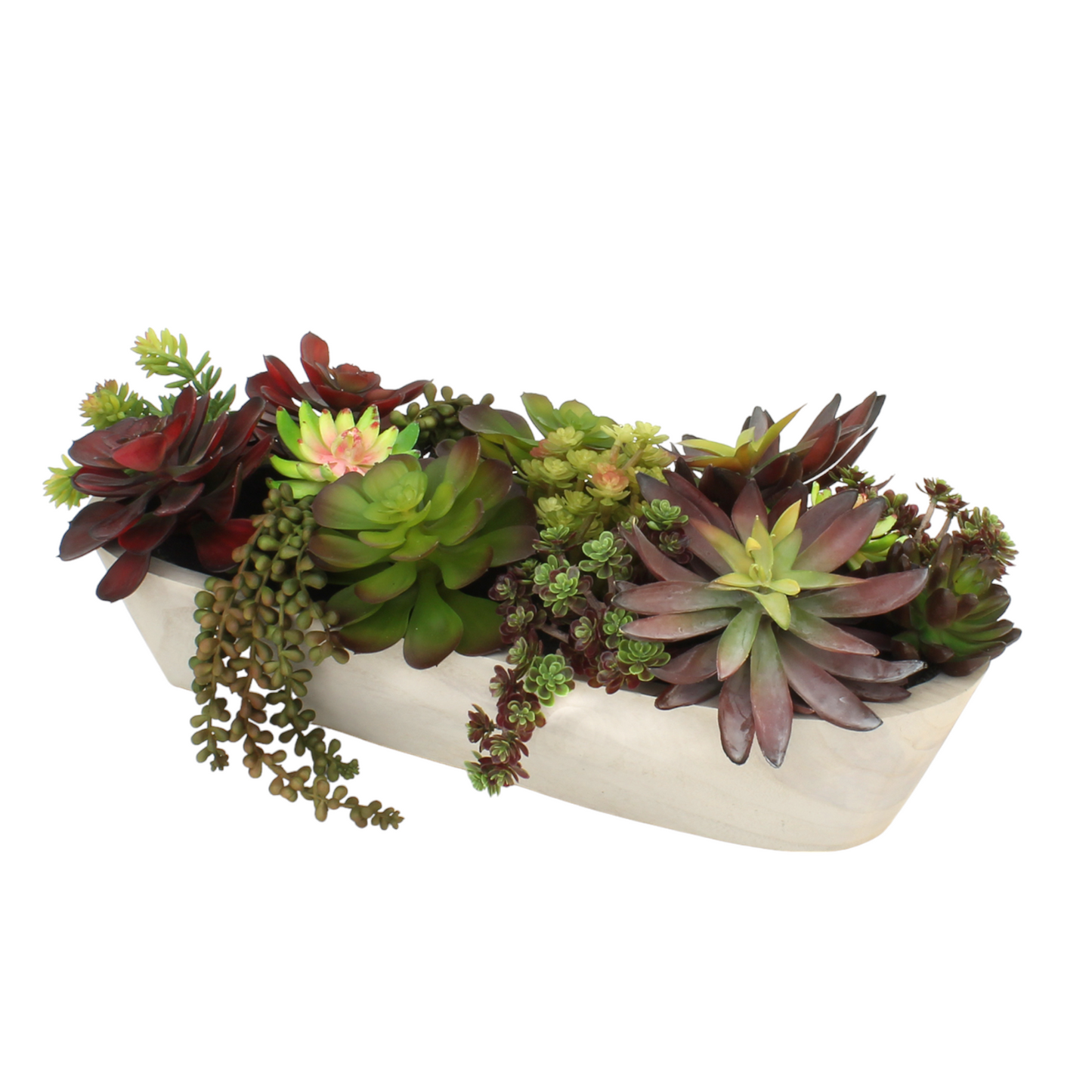 SUCCULENT MIX IN RAW WOOD BOWL