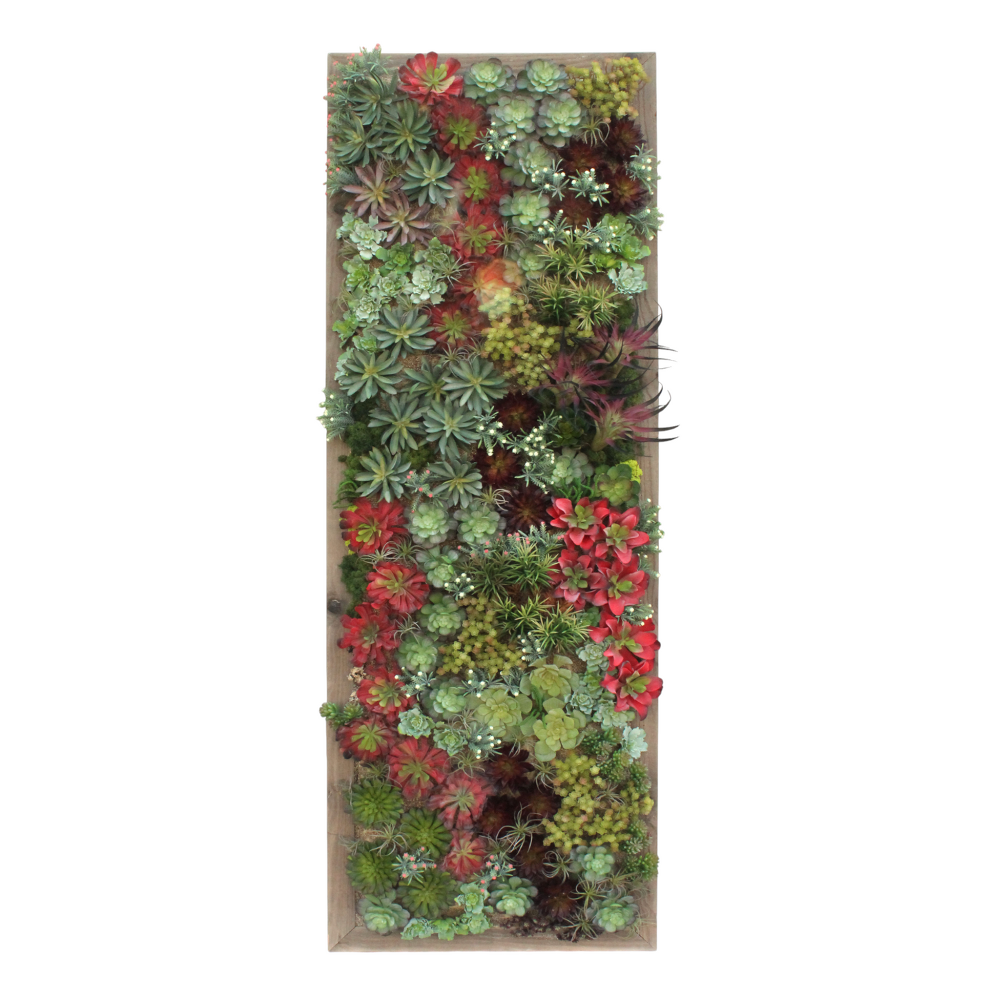 MIXED SUCCULENT WALL ART
