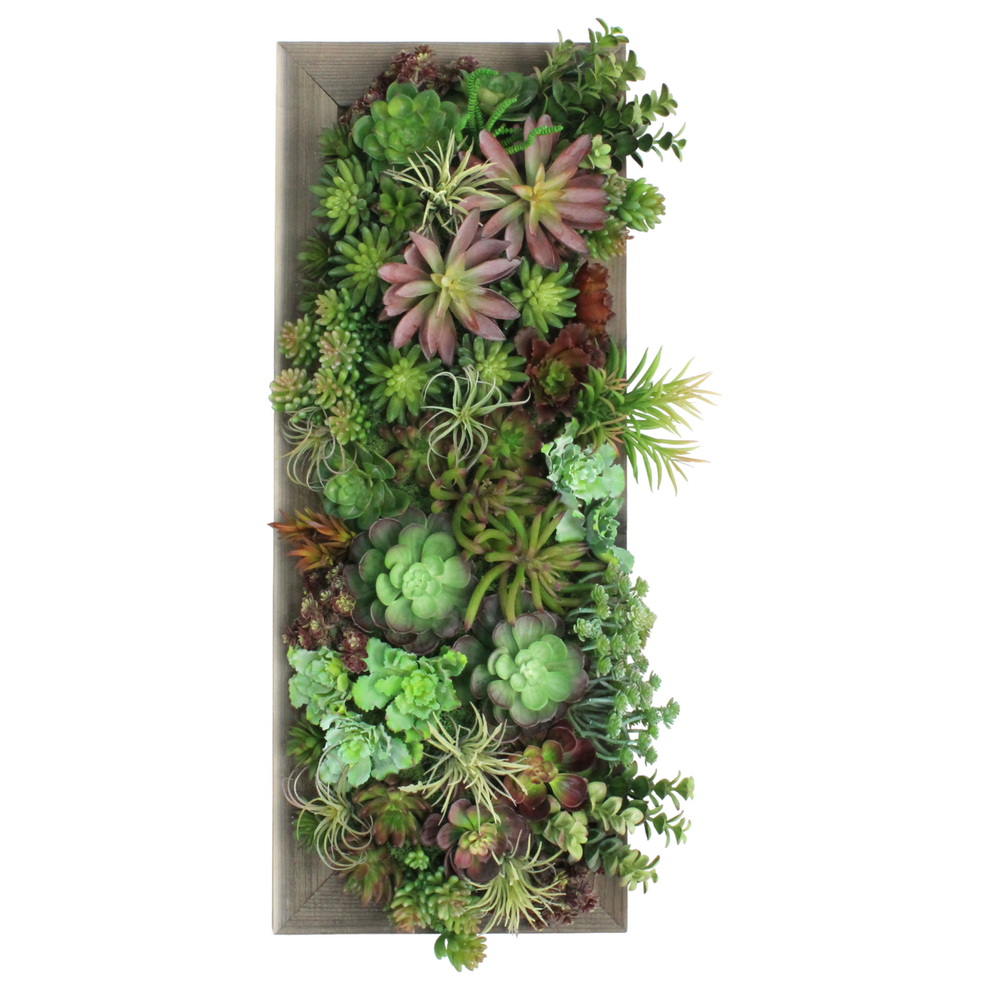 MIXED SUCCULENT WALL ART