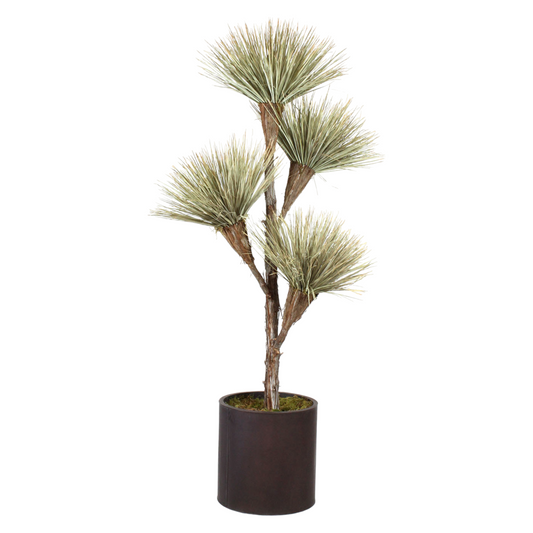 DRACAENA, NATURAL 4-BLOOM DRACAENA, SUSTAINABLE MATERIALS