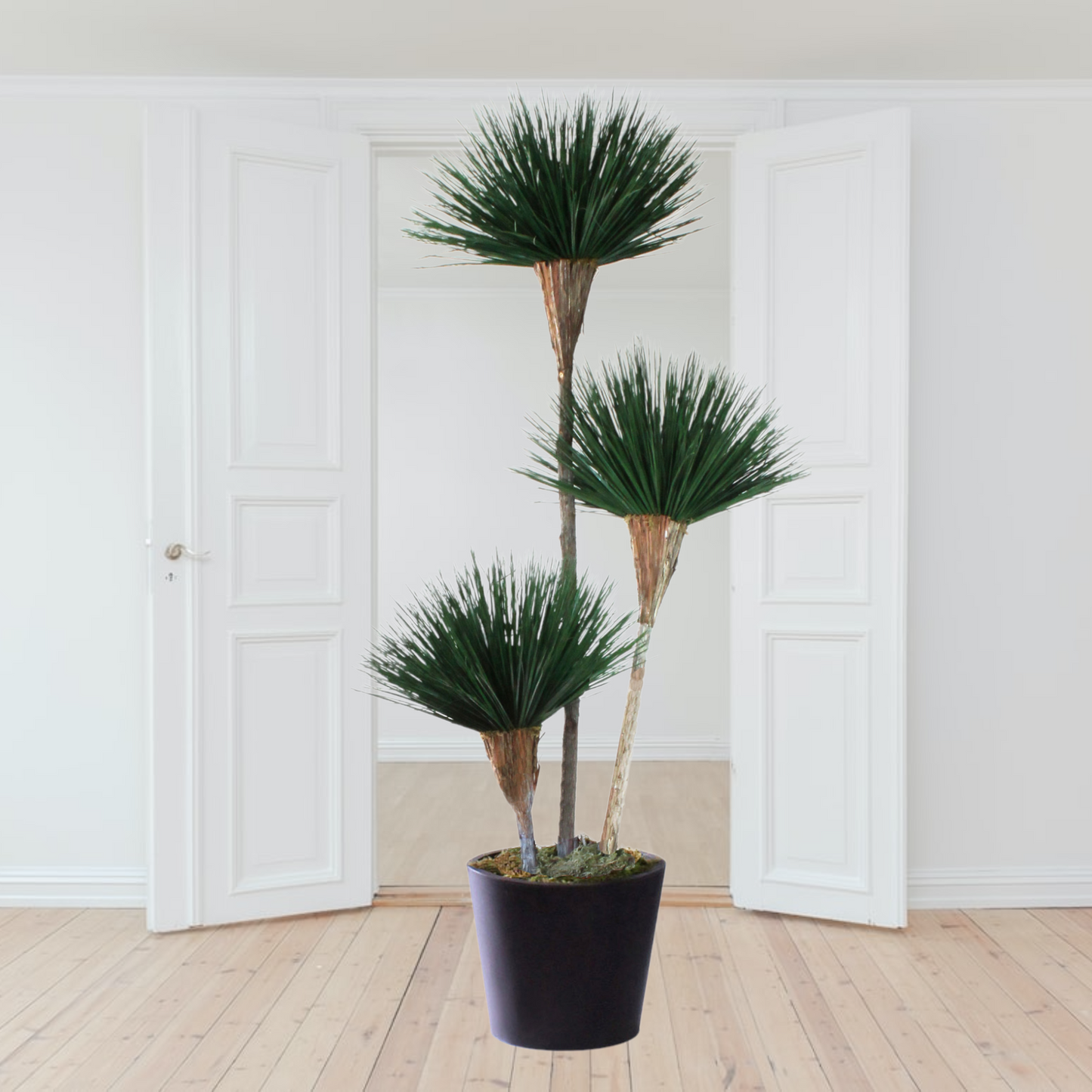 Exclusive desert southwest-inspired tree with natural dried and preserved materials, featuring 3-bloom greenery on cedar wood. Recommended for indoor use."