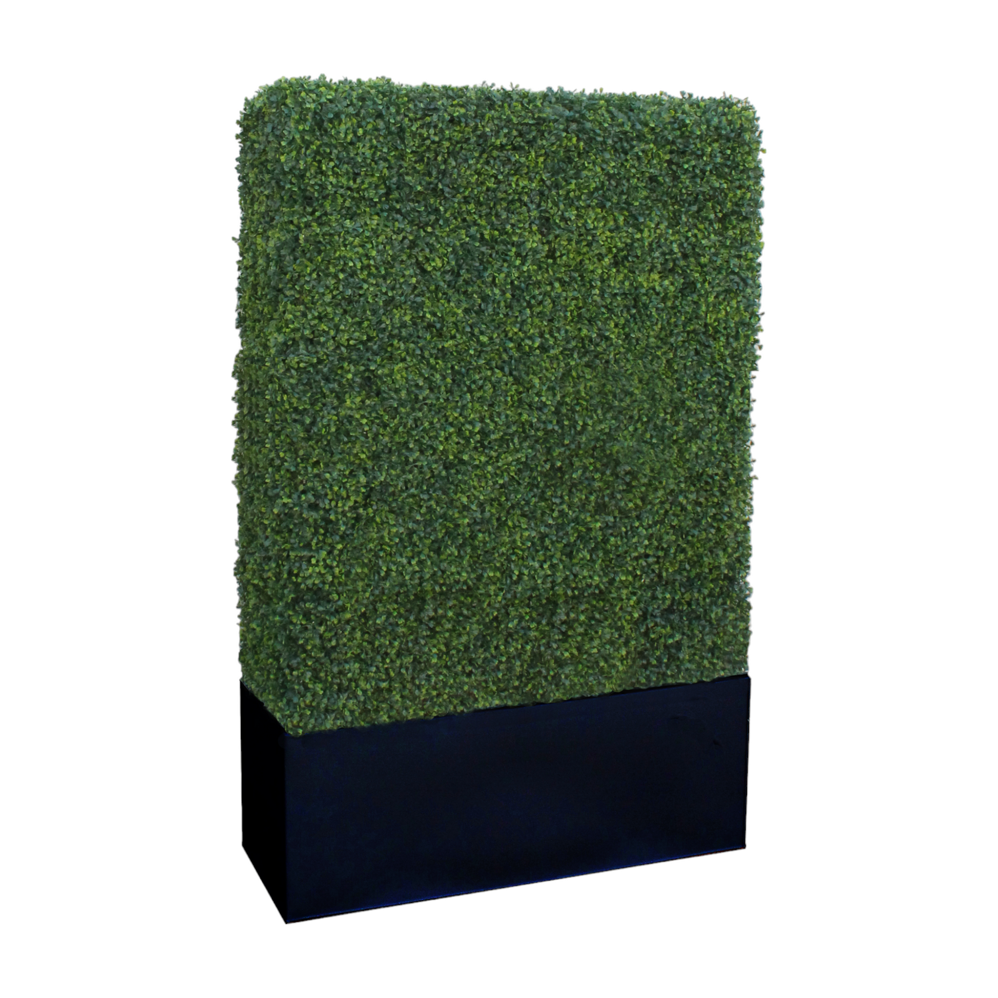 Classic boxwood hedge planters offering shade, privacy, or decorative beauty, available in two planter colors with optional UV protection for outdoor use.