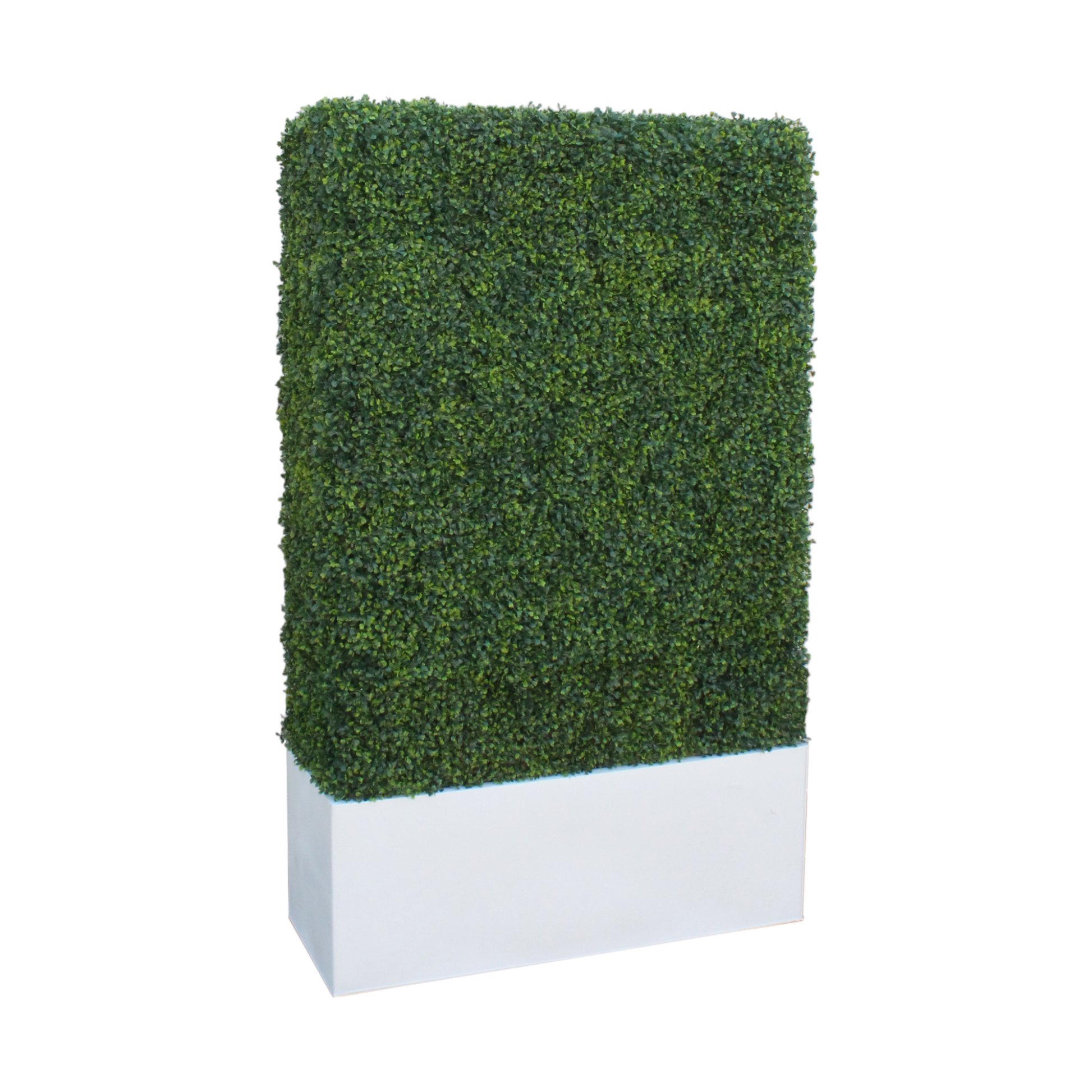 Classic boxwood hedge planters offering shade, privacy, or decorative beauty, available in two planter colors with optional UV protection for outdoor use.