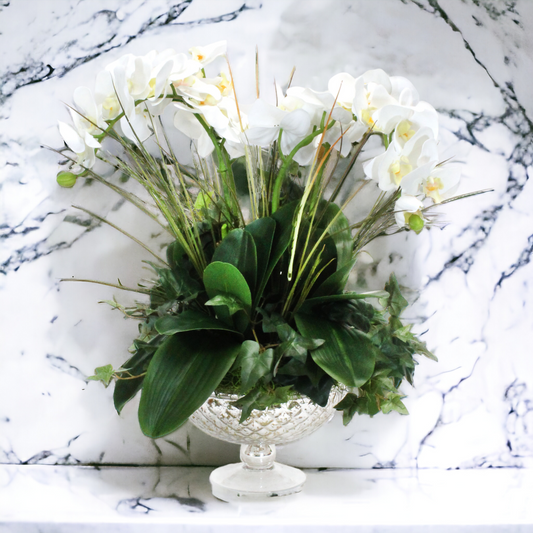 White Cascading Orchid in pedastal bowl