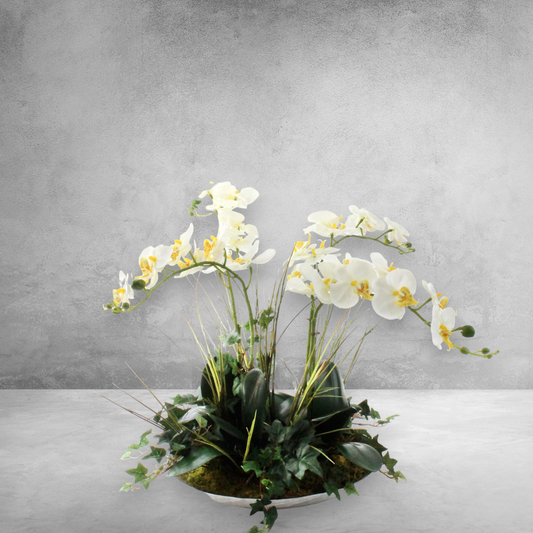 High-quality, real-touch delicate orchids in a decorative bowl, standing 24 inches tall for an impressive display