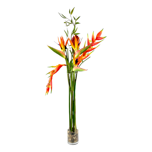 FLOWERING BIRD OF PARADISE IN GLASS VASE 