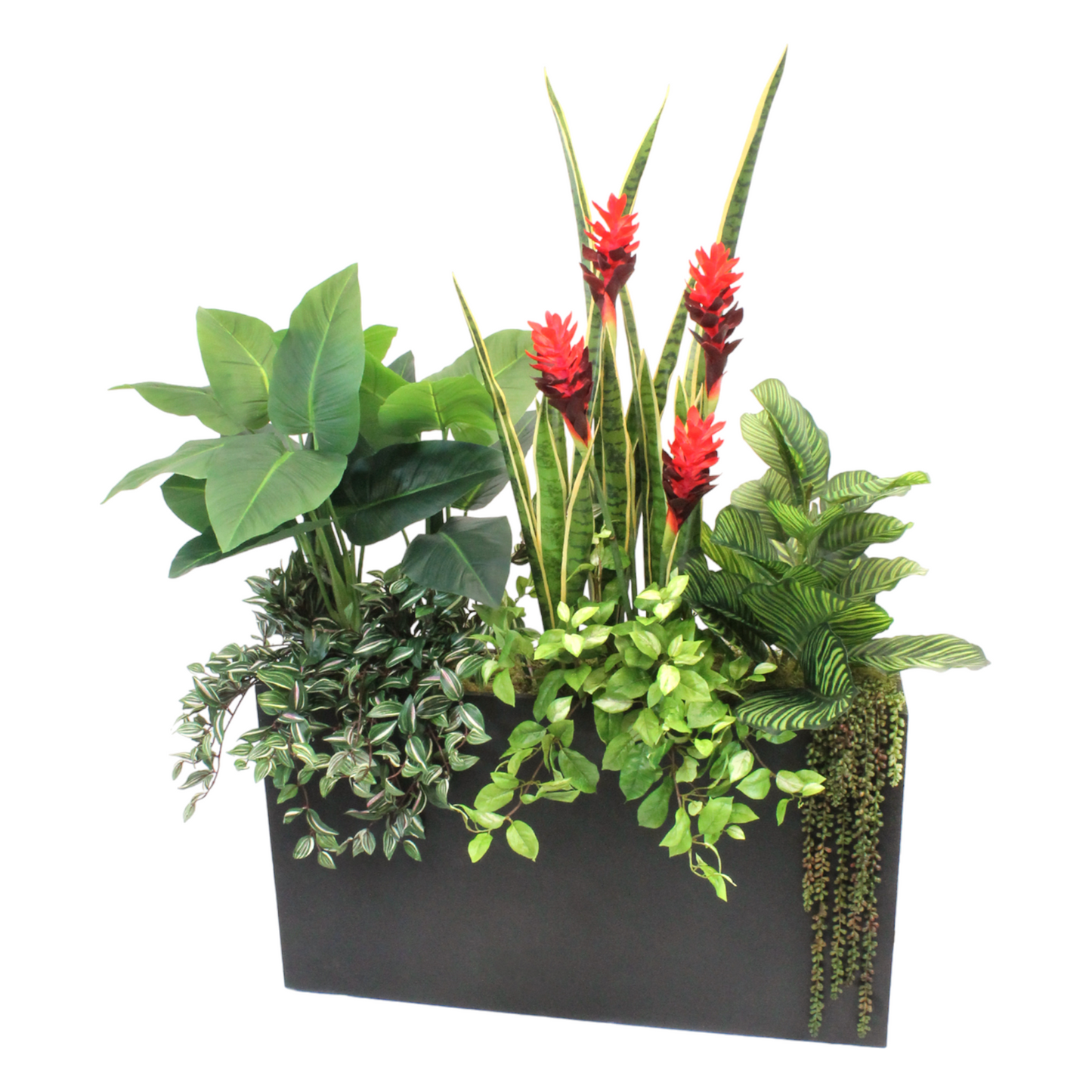 GINGER AND GREENERY IN BLACK PLANTER