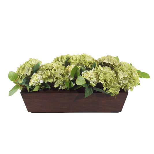 GREEN HYDRAGENAS IN WOODEN CONTAINER 