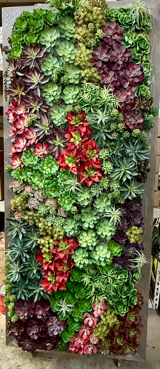 SUCCULENT WALL PANEL