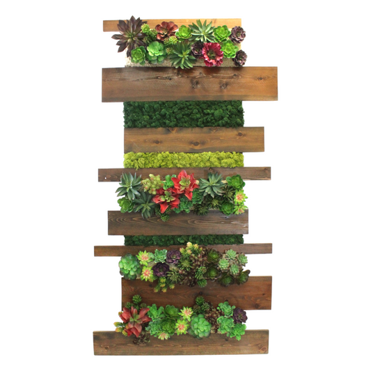 Large Succulent with horizontal wooden wall