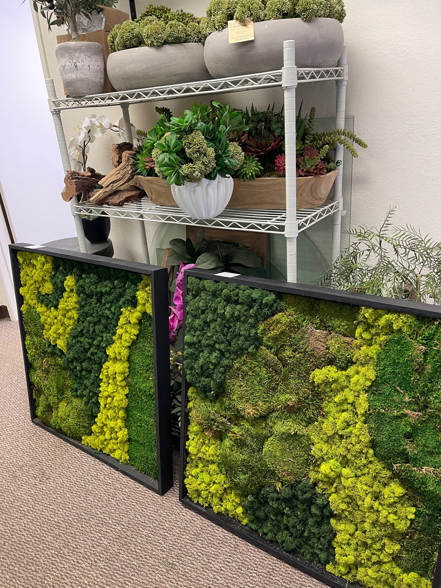 VARIETY OF MOSS BOARD OPTIONS SHOW IN OFFICE 