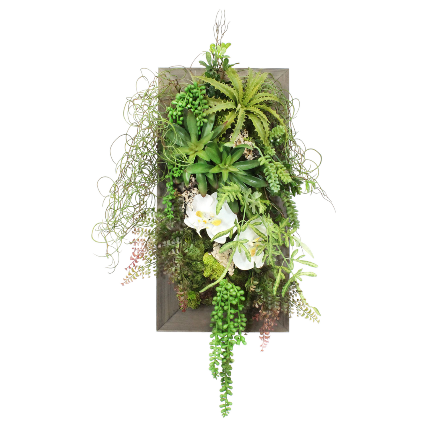 Mixed Greens on Hanging Wall Planter