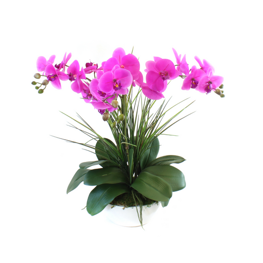 PINK ORCHID ARRANGEMENT IN CERAMIC BOWL